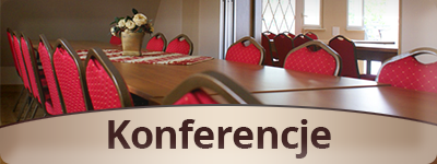 hotelmaxim_duzy_konferencje